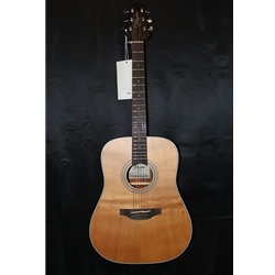 Takamine GD20-NS - Natural